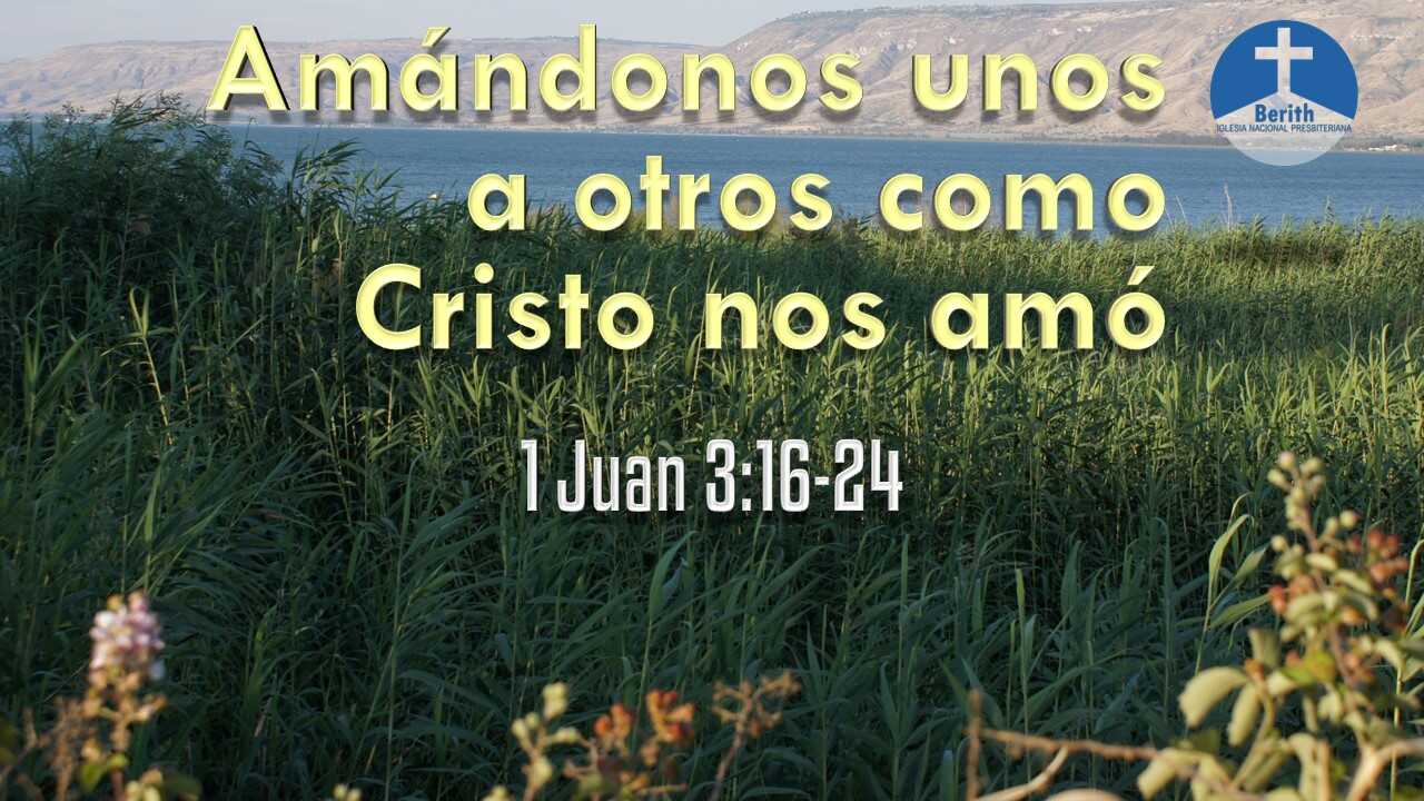 Amándonos Unos A Otros Como Cristo Nos Amó - 1 Juan 3:16-24 - Berith