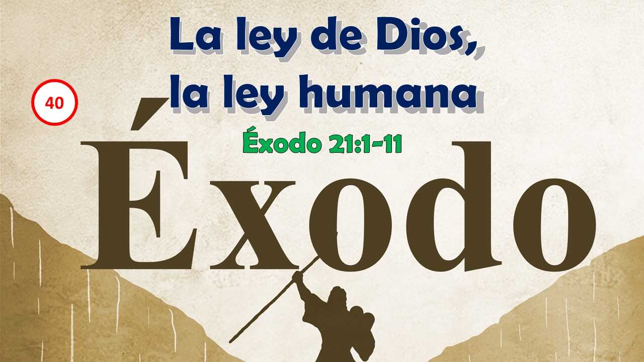 La Ley De Dios La Ley Humana Éxodo 211 ‬11‬ Berith