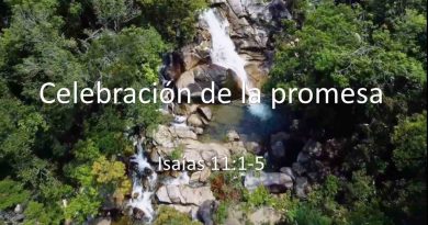 Celebración de la Promesa – Isaias 11:1-5