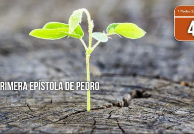 La gracia de Dios y la esperanza viva (4) – 1 Pedro 2:11-25