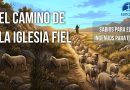 EL CAMINO DE LA IGLESIA FIEL
